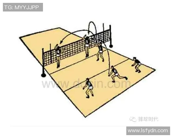 成都排球队战术表现深度分析与数据解读探讨